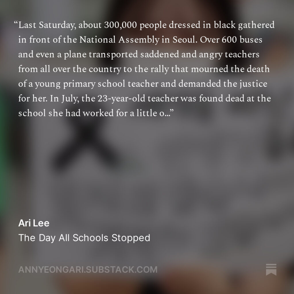 Annyeong Ari Substance newsletter snippet from her entry, "The Day All Schools Stopped"